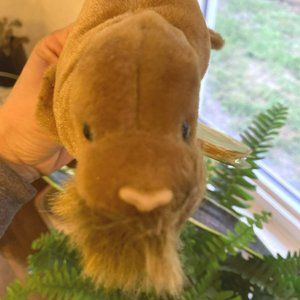 Ty Beanie Baby -  Paul the Walrus - Style Number #04248